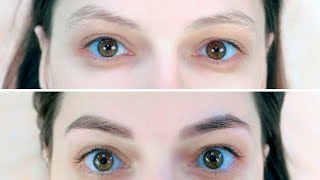 How to Grow Thicker Eyebrows Fast and Naturally [upl. by Eilsek569]