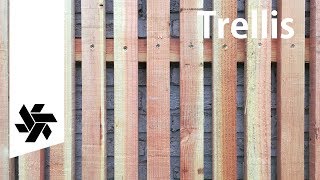 Vertical Modern Trellis  DIY Privacy Fence [upl. by Nolubez]