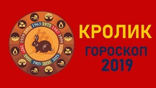 Кролик в год Свиньи Восточный гороскоп на 2019 год [upl. by Yurt]