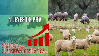 quotPastoreo del Futuro Descubre las 4 Leyes que Transformarán tu Campo 🌱💥quot [upl. by Yvaht]