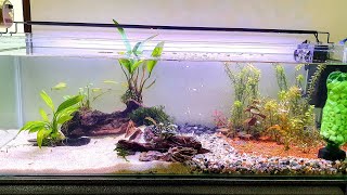 Low Tech Planted AQUARIUM [upl. by Nesyaj931]