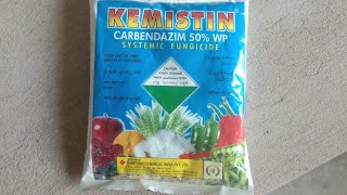 KEMISTIN Carbendazim 50 WP Systemic Fungicide [upl. by Sheline]