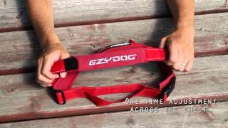 EzyDog QuickFit Dog Harness  Simple Support [upl. by Seidler]