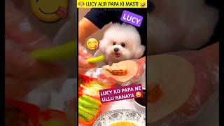 लूसी को पापा ने उल्लू बनाया 🐶 cutest dog funny story hindi 😄 cutepuppies cutepuppy [upl. by Keeler]