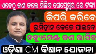 CM Kisan Yojana Online Apply  Benificiary list 202425 Cm Kishan Yojana Odisha  Cm Kisan Yojana [upl. by Minnnie]