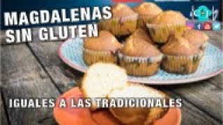 Magdalenas Sin Gluten  Recetas de Cocina [upl. by Entroc372]