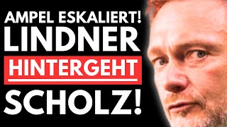 💥SENSATION FDP VERLÄSST DIE AMPEL LINDNER STÜRZT SCHOLZ INS CHAOS💥 [upl. by Noryk]