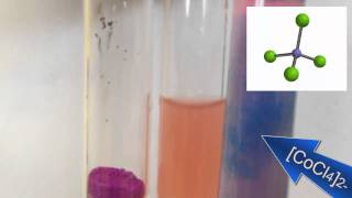 Complex Ions Adding Choride ions to cobalt chloride [upl. by Nigem]