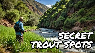 Discover Secret Trout Fishing Spots in Valle Encantado Limay [upl. by Chimene]