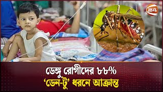 ভারতমিয়ানমারের ডেঙ্গু ভাইরাস বাংলাদেশে  Dengue Outbreak  Den2  Chattogram  Channel 24 [upl. by Moor]