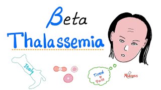 Beta Thalassemia  Causes and Types  minor Major amp Intermedia  Hematology [upl. by Ardien]