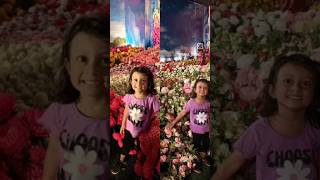 Flower show thrissur trendingshorts flowers [upl. by Eleahcim]