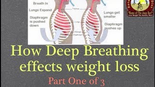 1 How Deep Breathing Effect Weight Loss Part 1 of 3 [upl. by Yantruoc]