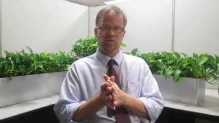 Plant Breeding GMO Cross Pollination amp Cross Breeding Explained [upl. by Claman]