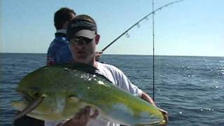 SASHIMI MINNOW サシミ ミノー DUEL MOVIE from YOZURI AMERICA272 [upl. by Pik]