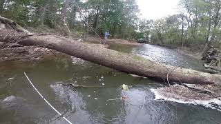 Urban Fishing Codorus Creek PA [upl. by Lettie]