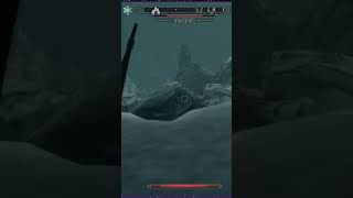 Frostfall skyrim skyrimmemes twitch twitchclips [upl. by Oirretna74]