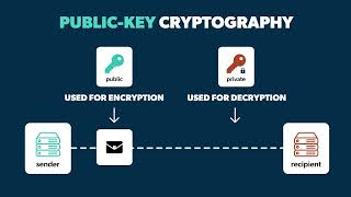 What Is Public Key Infrastructure PKI [upl. by Mal474]