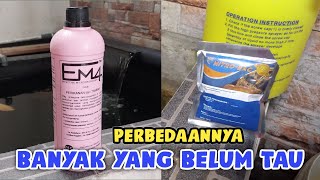 PILIH MANA Kenali Probiotik EM4 Perikanan amp Nitrobac untuk Kolam Ikan Koi [upl. by Yreved535]