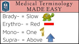 Medical and Nursing Terminology MADE EASY Prefixes Flashcard Tables [upl. by Biagio]