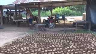 brick factory ໂຮງເຮັດດິນຈີ່ ບ້ານເວີນຂາວ ทำกอ้นอิด ดินจี่ [upl. by Ttelracs725]