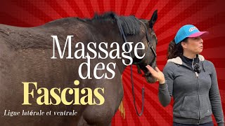 TUTO MASSAGE 🐴 Apporter du confort à son cheval grâce à la Fasciathérapie 🩵 [upl. by Oicnedurp]