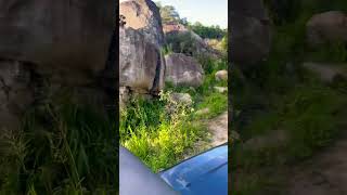 Minneriya National ParkSri Lanka 🇱🇰travel srilanka nationalpark youtubeshorts ♥️ [upl. by Florentia613]