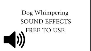 Dog Whimpering Sound Effect [upl. by Lind]