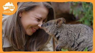 Our 3 new quokkas get their names  Australia Zoo Life [upl. by Cyd131]