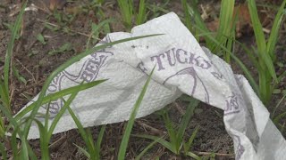 Toilet paper ruling to come for Krewe of Tucks parade [upl. by Akciret]