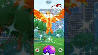 Finally got ✨ Shiny Galarian Moltres in Pokemon GO [upl. by Richardson]