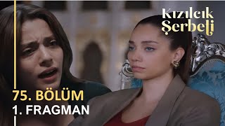 Kızılcık Şerbeti 75 Bölüm 1 Fragman I quotDoğaya Büyük Şokquot [upl. by Eiro]