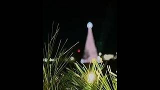 🎄 OWA Amusement Park Christmas Tree  Foley Alabama [upl. by Blanch]