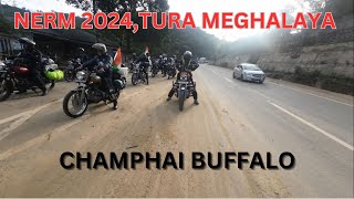 NERM 2024 CHAMPHAI BUFFALO [upl. by Eirehc]