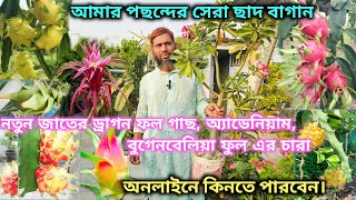 মালদার মনিরুজ্জামান মাস্টার এর ছাদের ড্রাগন ও অ্যাডেনিয়াম কুরিয়ারে কিনুন। [upl. by Dympha]