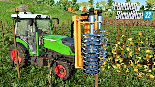 Winogrona Usuwanie liści  36 Haut Beyleron  Farming Simulator 22 [upl. by Notselrahc]