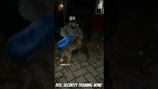 Car breakin security training 101 homeinvasion carbreakin [upl. by Aizatsana1]