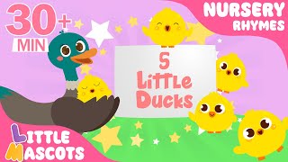 Five Little Ducks🐤  Baby Shark songs amp more  Little Mascots Nursery Rhymes for Kids [upl. by Lindell]