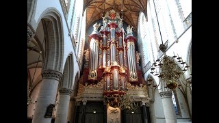 Excerpts  Graduation Concert at StBavokerk Haarlem The Netherlands [upl. by Intruoc]