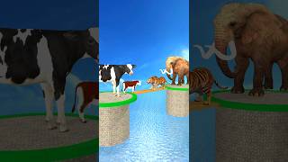 Bridge Challenge 🐄 Cow Cartoon Vs Tiger🐅 shorts cow tiger cartoonanimals [upl. by Mattox235]