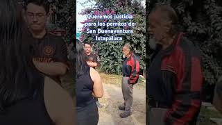 viralvideo 🚨🚨queremos justicia por los perritos de San Buenaventura Ixtapaluca agamos viral [upl. by Li326]