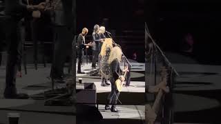 Stand Back Stevie Nicks concert [upl. by Shulins]