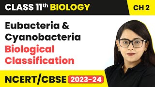 Eubacteria amp Cyanobacteria  Biological Classification  Class 11 Biology Chapter 2  NCERTCBSE [upl. by Elmer685]