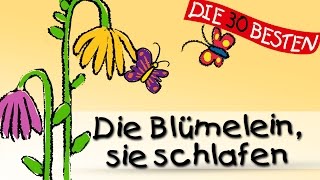 Die Blümelein sie schlafen  Die besten Schlaflieder  Kinderlieder [upl. by Sidky371]