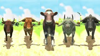 All Bovidae Animals Speed Races  Buffalo Cow Cattle [upl. by Enilav]