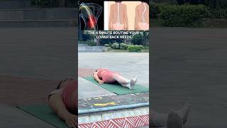 4 minute low back pain mobility routine shorts backpain exercise [upl. by Etteval]