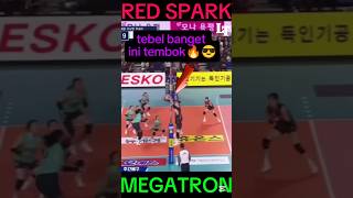 Gyselle silva di buat malu oleh pertahanan red spark park Eunjin😱😎volleyballmegawatihangestri [upl. by Dardani794]