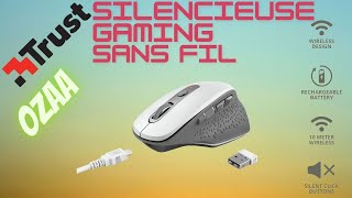 ▶️ SOURIS TRUST OZAA  La Souris de la nuit  silencieuse  sans fil  faite pour le gaming [upl. by Ireg]