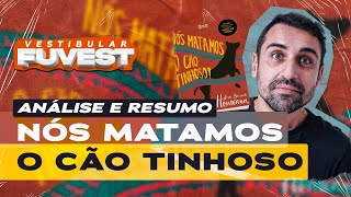 Vestibular FUVEST  Análise e resumo de NÓS MATAMOS O CÃO TINHOSO [upl. by Zeba]