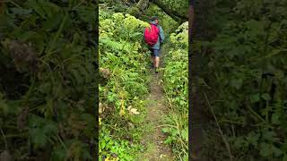 Walking to Roncesvalles Spain up and over the Pyrenees 285km177mi September 12 2024 [upl. by Cown]